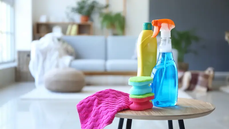 Professional cleaning supplies set out in a bright living room